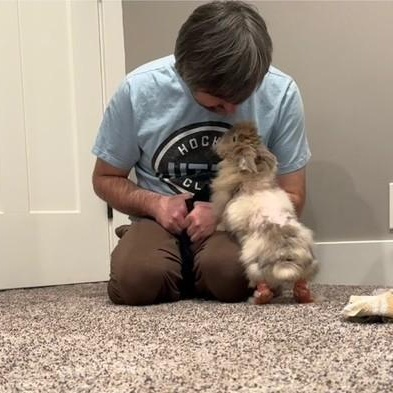 Enlarge Roxy, a Adoptable mixed breed in Salt Lake City, UT image 5/6