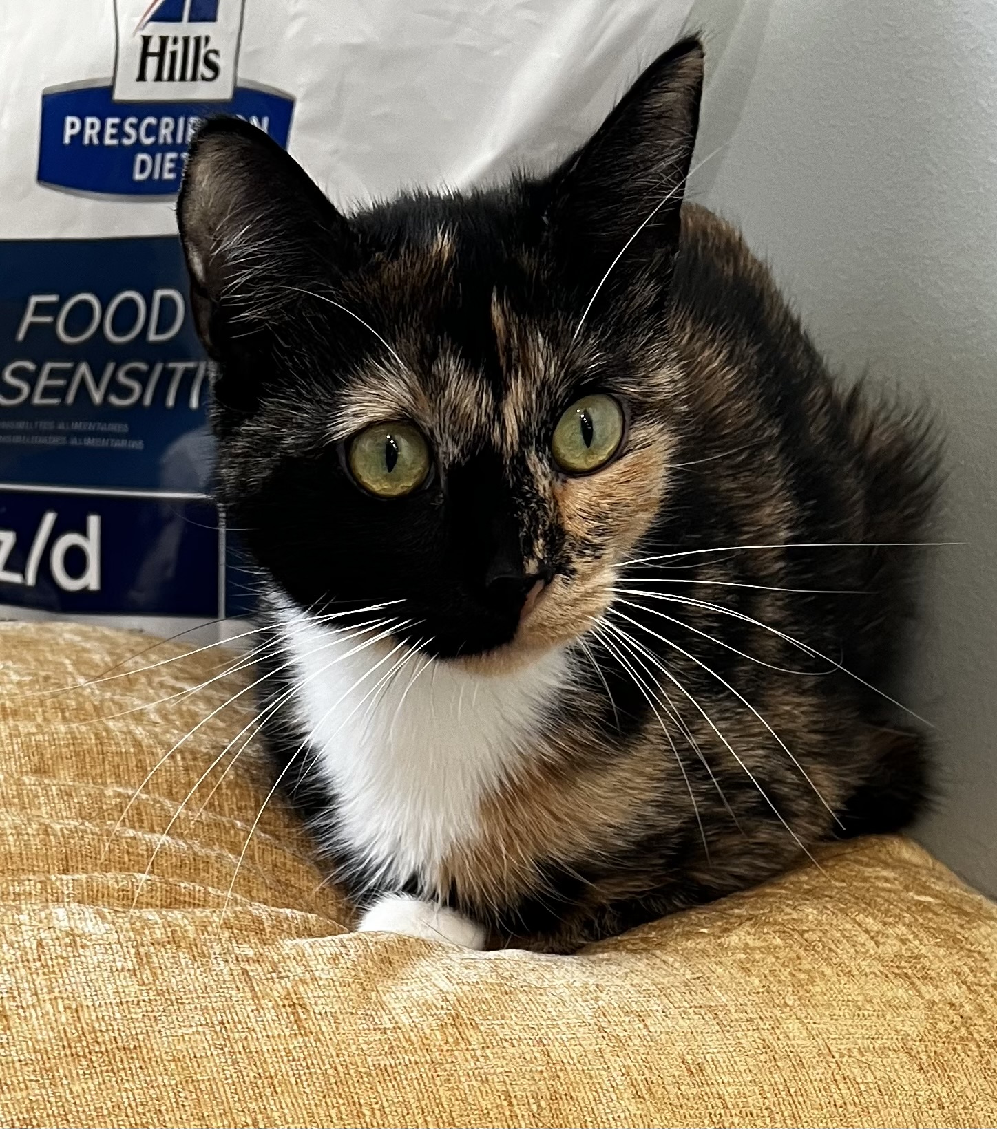 Nutmeg