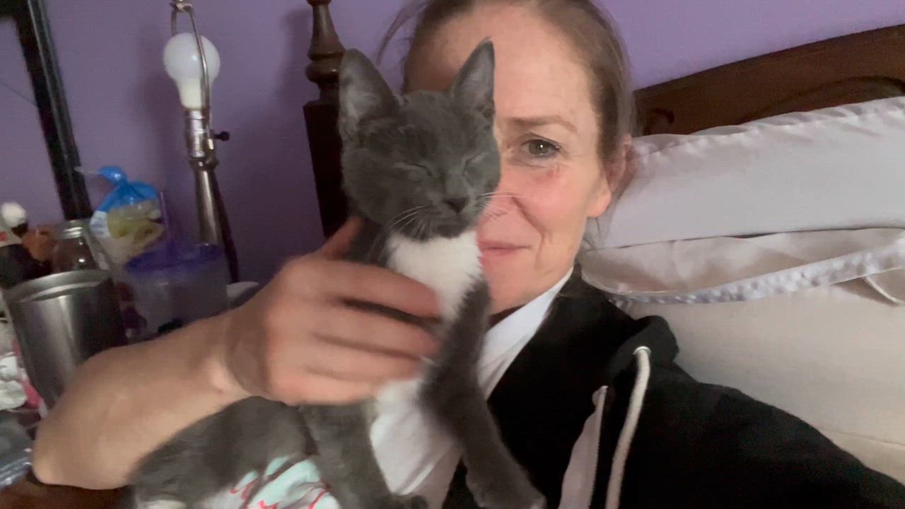 Enlarge Bigfoot, a Adopted mixed breed in Newark valley, NY video 2/6