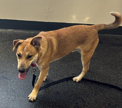 Woody — thumbnail 3