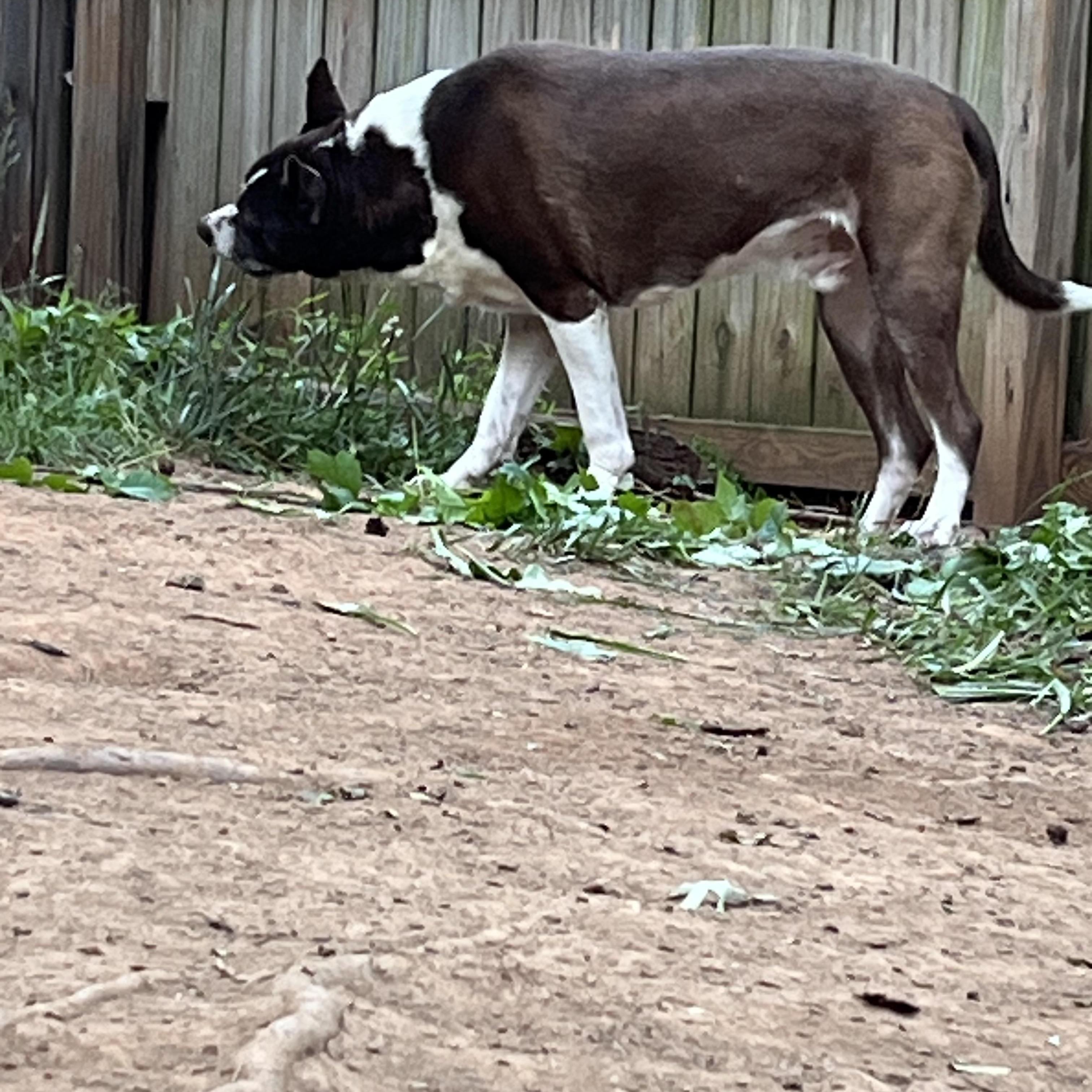 Milo Located In Asheville thumbnail 3