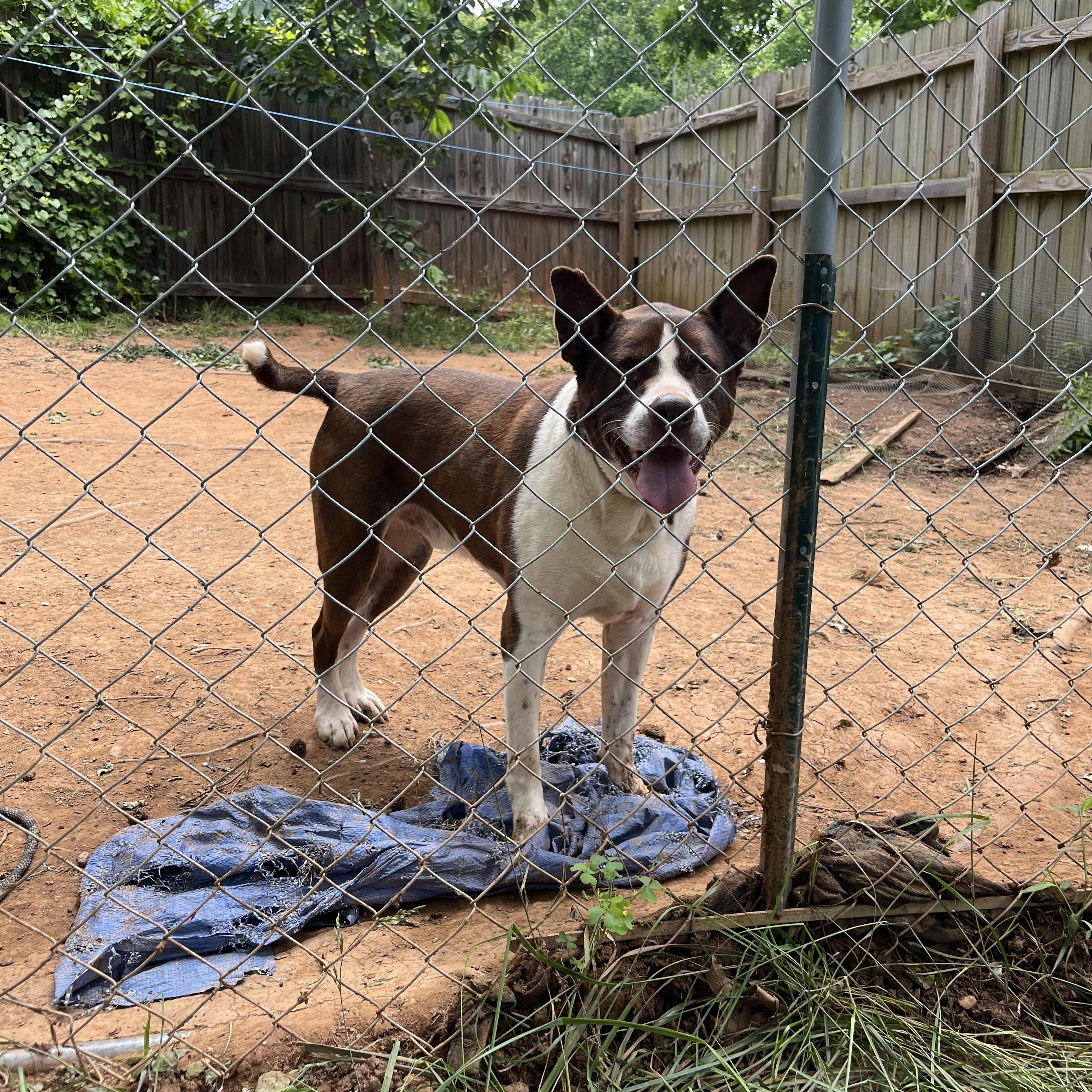 Milo Located In Asheville thumbnail 6