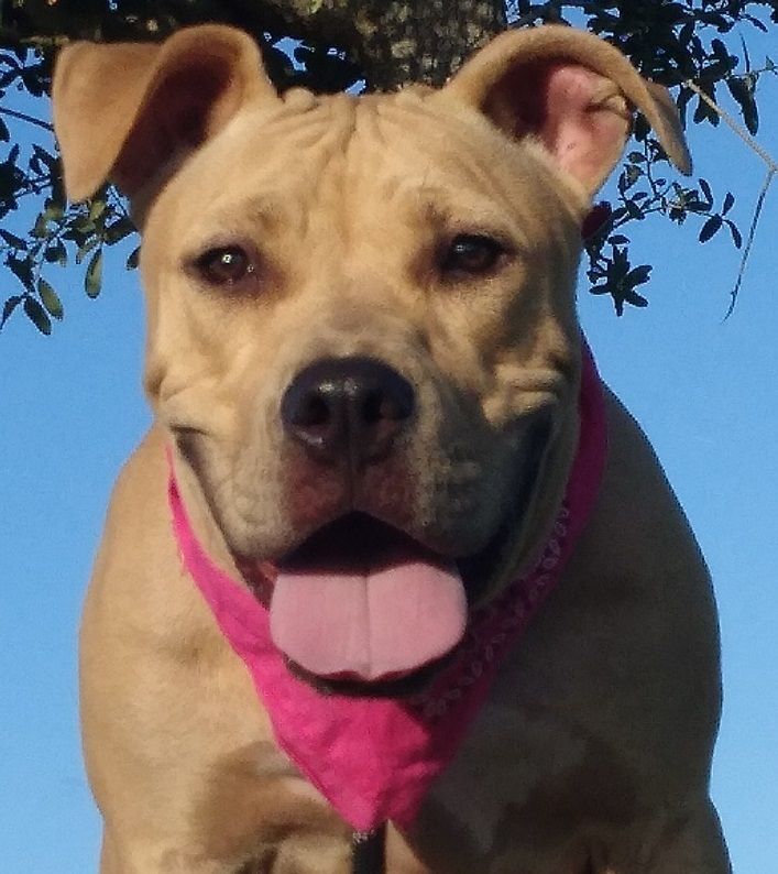 Abbie - Supper sweet baby girl!!! (TX091287)