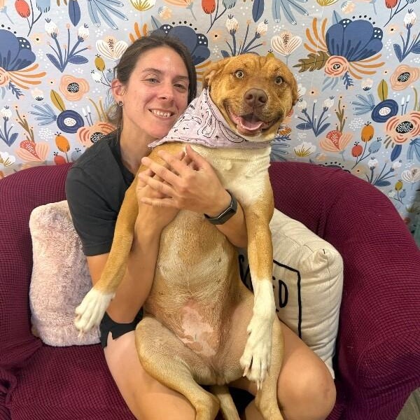 Butterscotch Pie — thumbnail 3