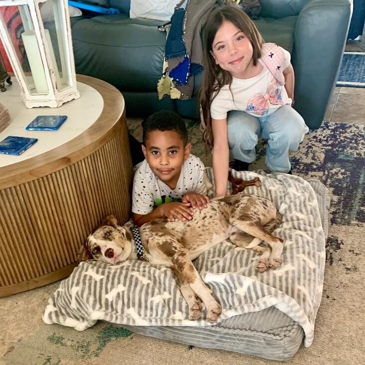 Romeo Darling the Blue Eyed Heartthrob