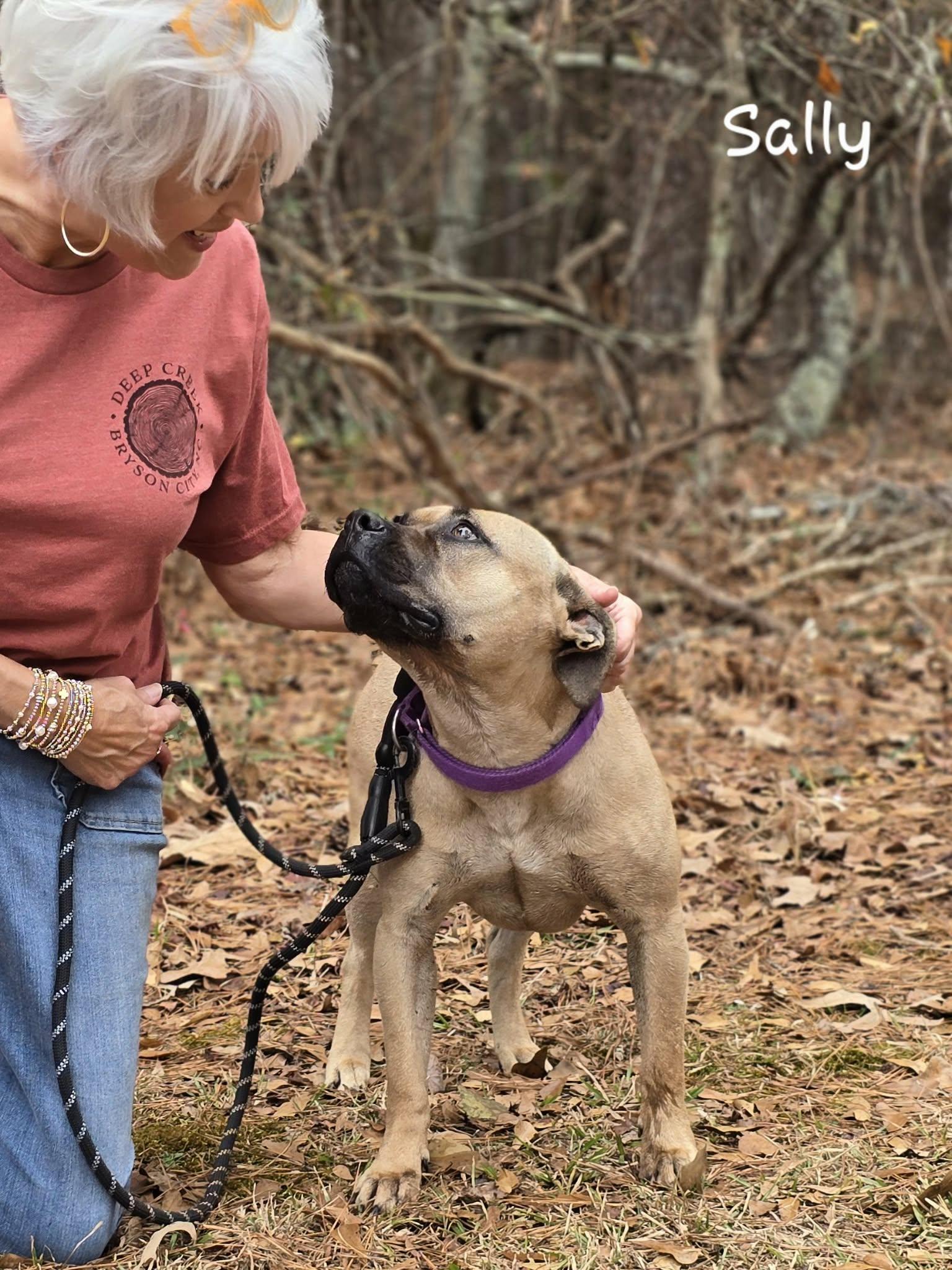 Enlarge Sally, a Adoptable mixed breed in Bishop, GA image 3/5