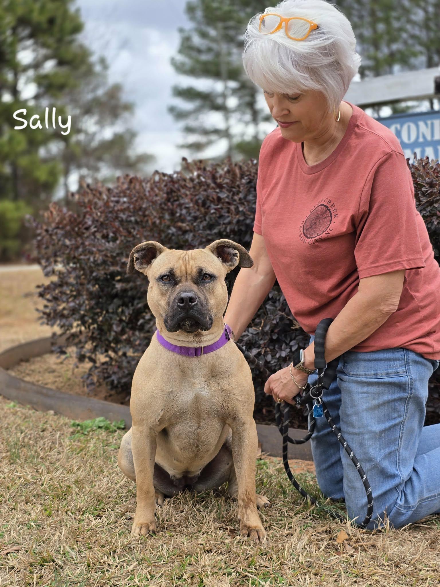 Enlarge Sally, a Adoptable mixed breed in Bishop, GA image 4/5