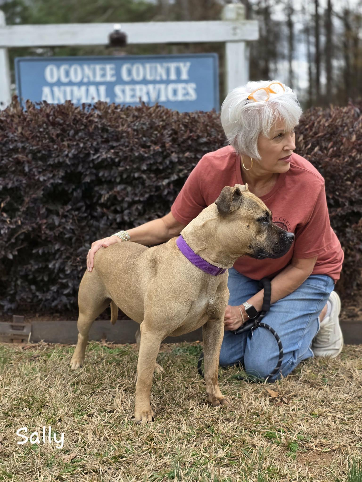 Enlarge Sally, a Adoptable mixed breed in Bishop, GA image 2/5