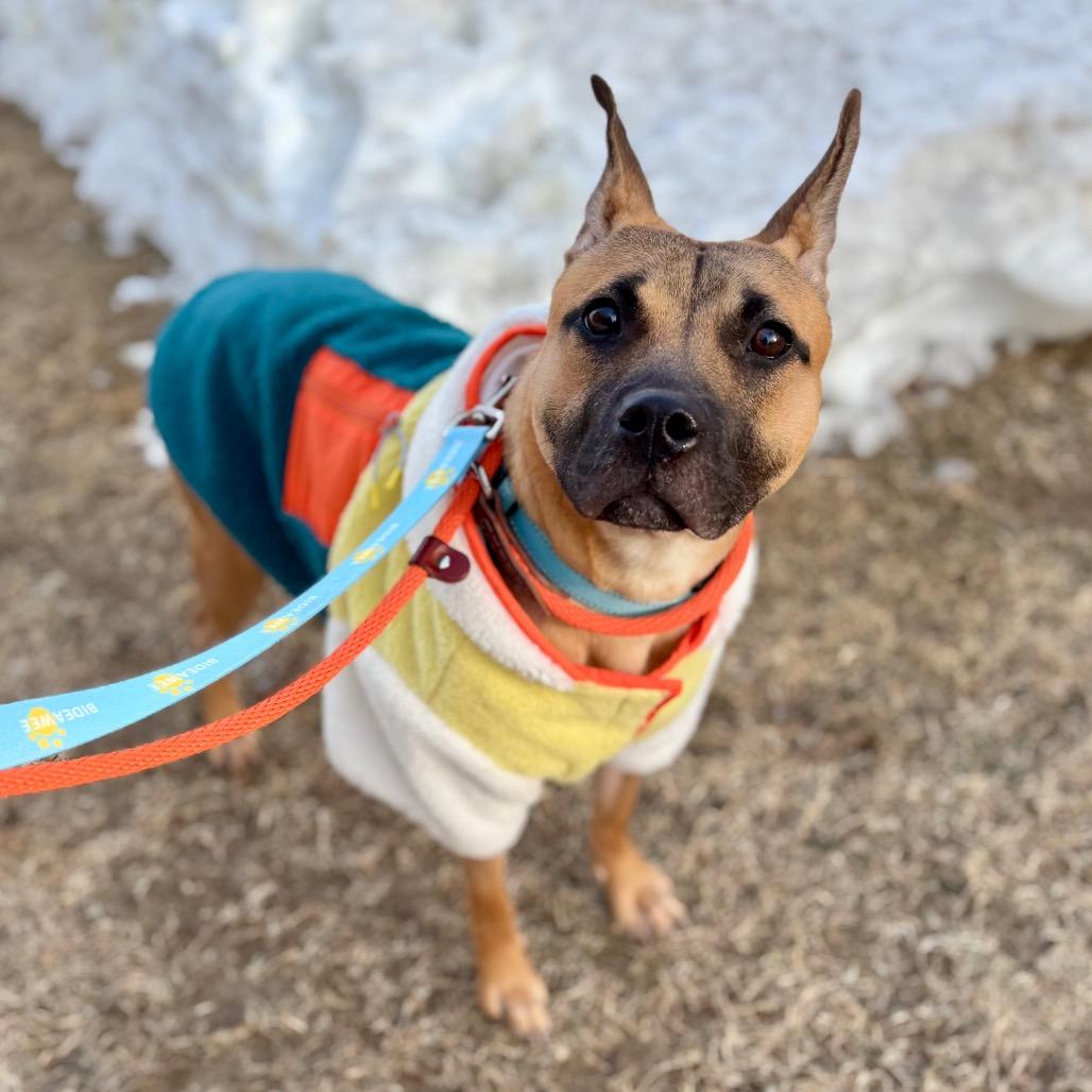 Nakoa — thumbnail 5