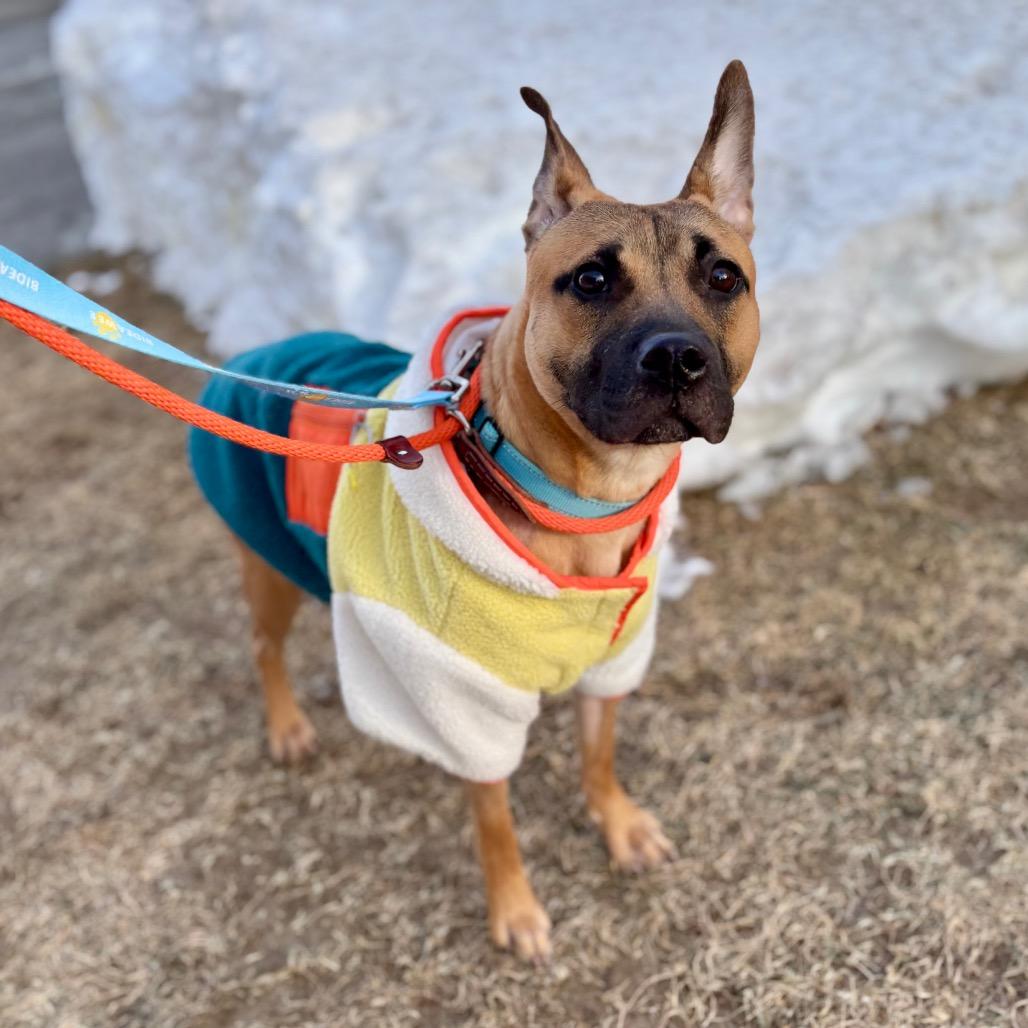 Nakoa — thumbnail 6