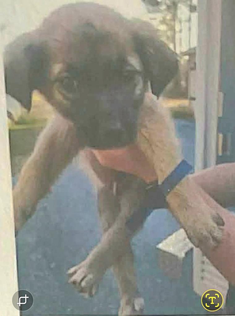 Squirt — thumbnail 2