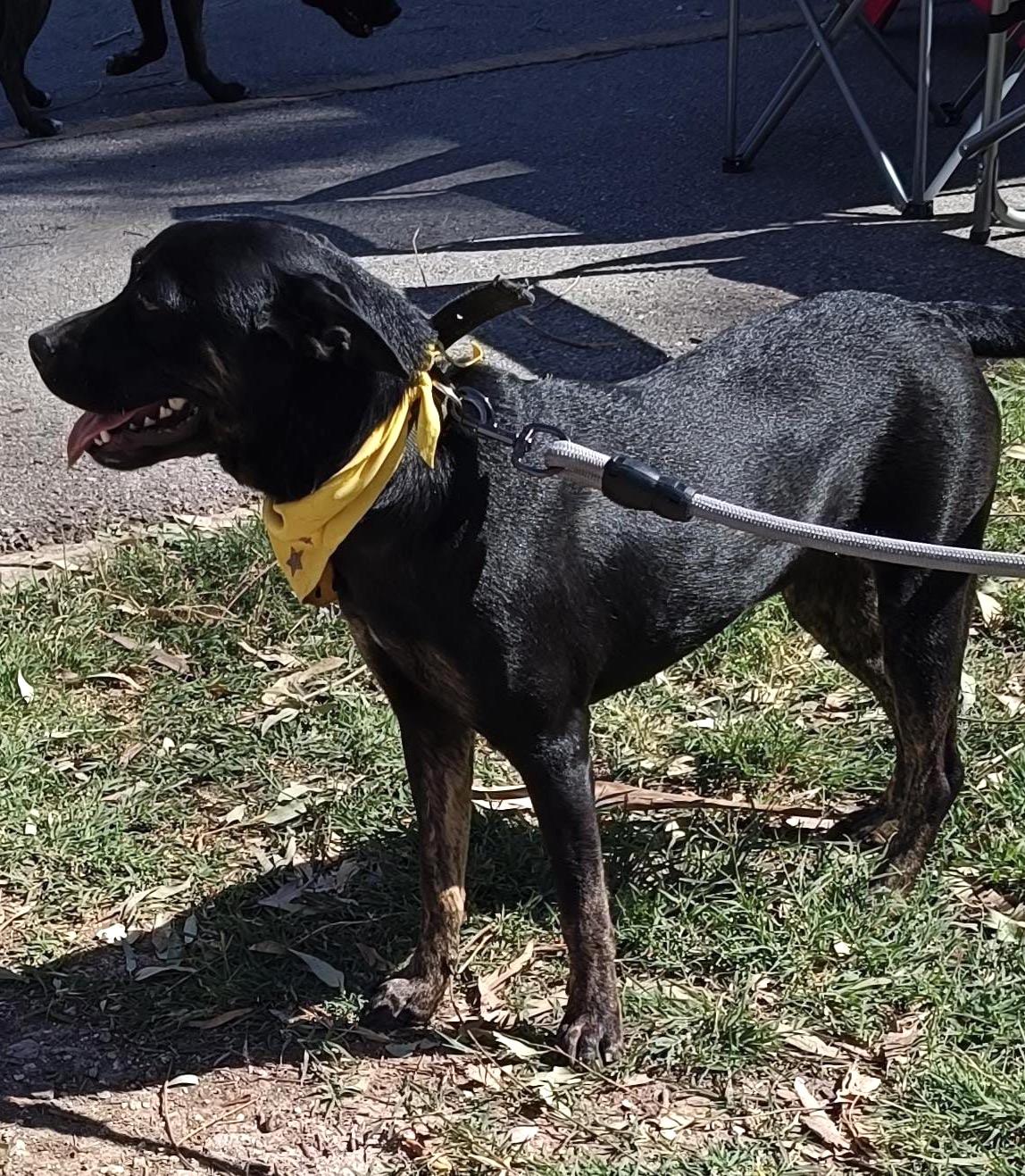 Lily (9) — thumbnail 4