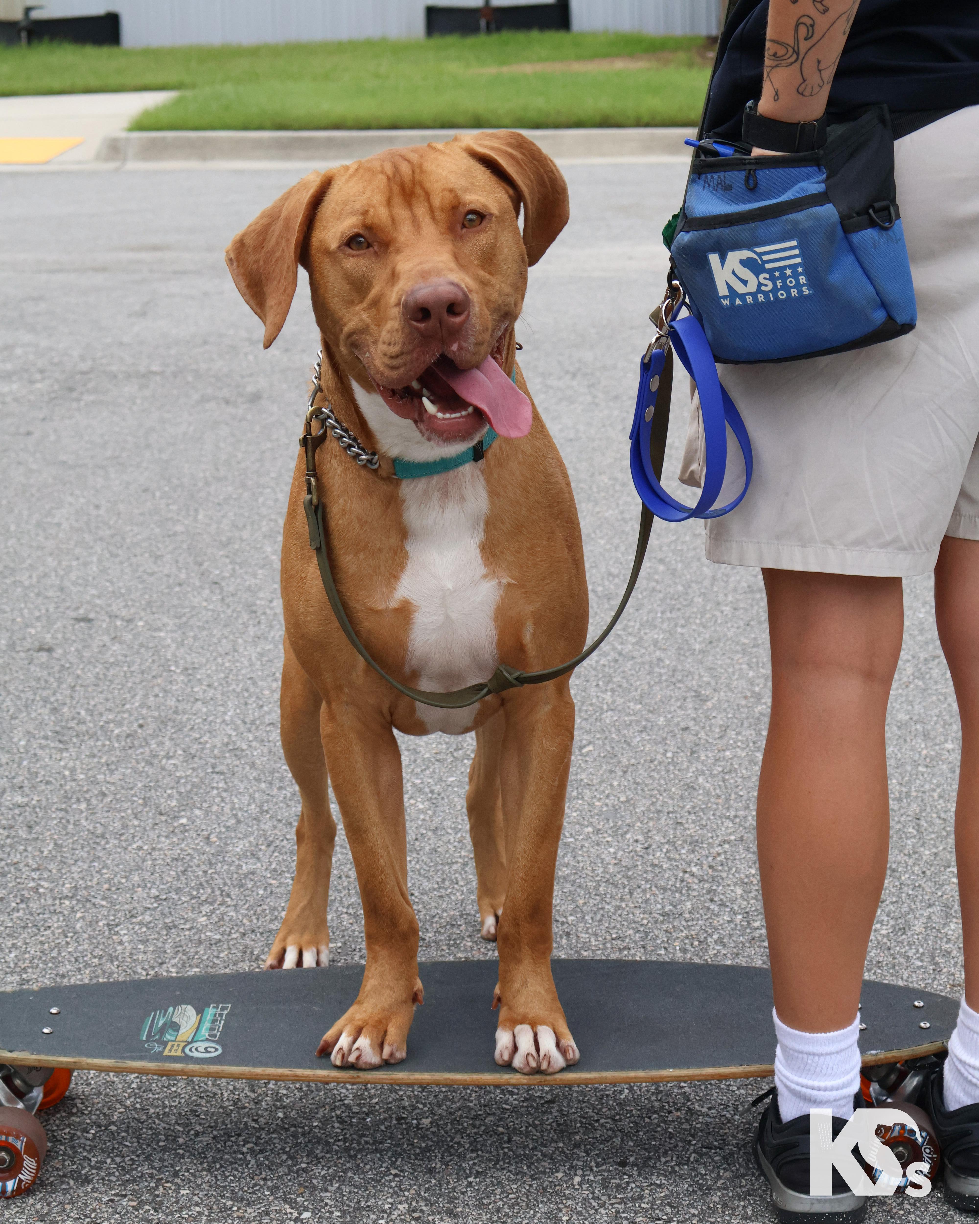 Doughnut thumbnail 2