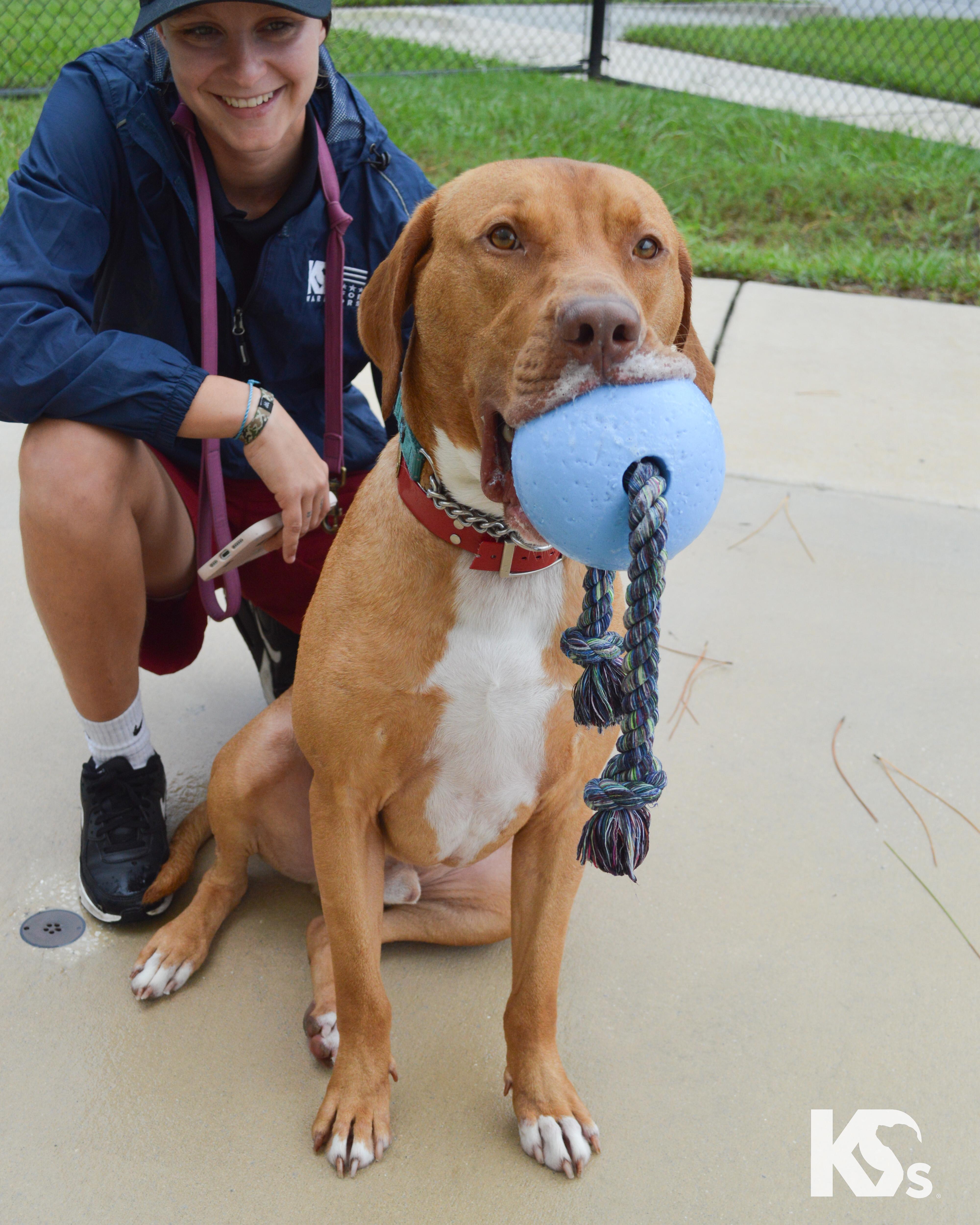 Doughnut thumbnail 4