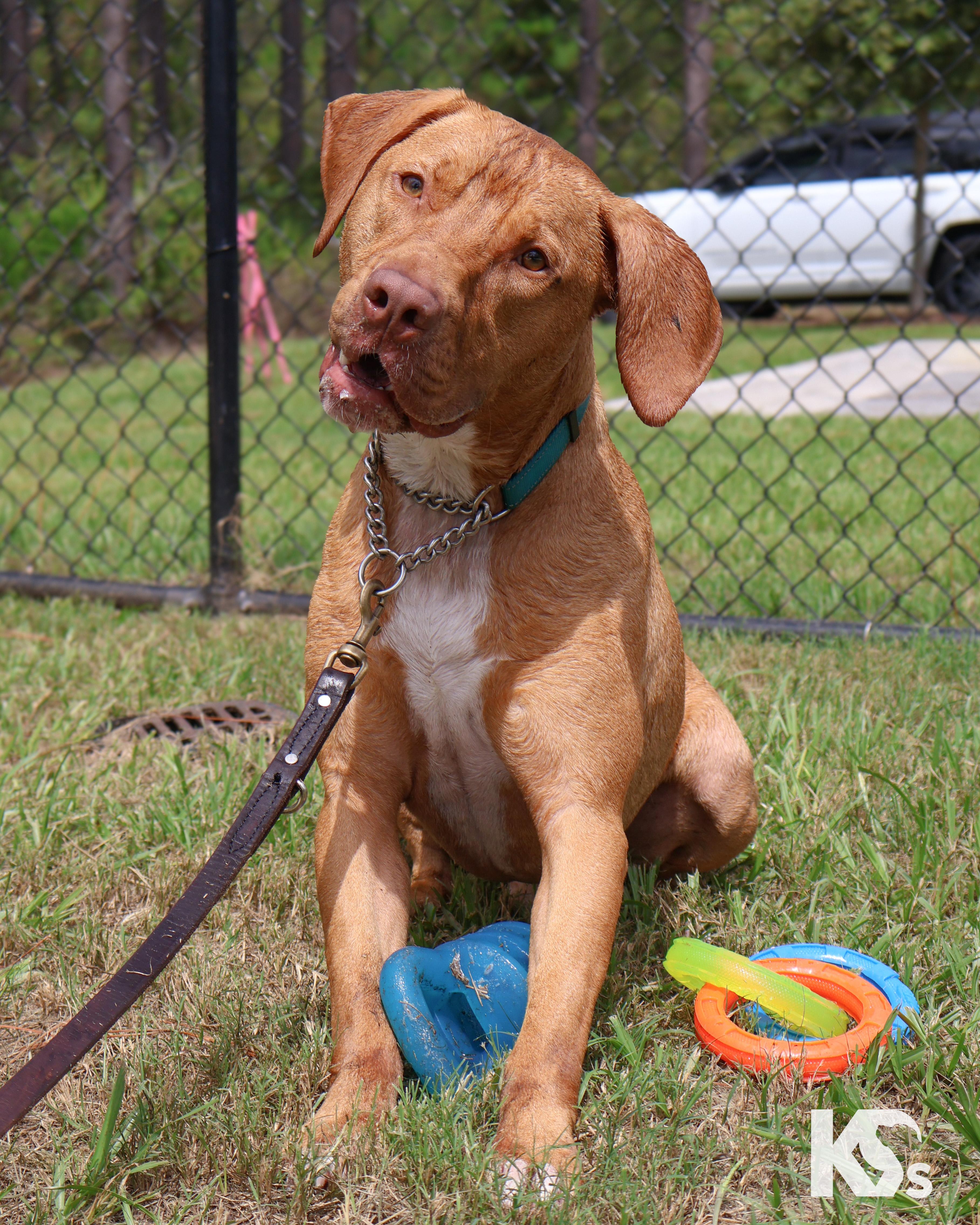 Doughnut thumbnail 7