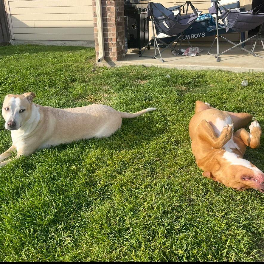 Willow III (New Digs) — thumbnail 2