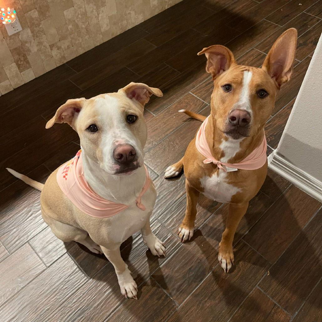 Willow III (New Digs) — thumbnail 3