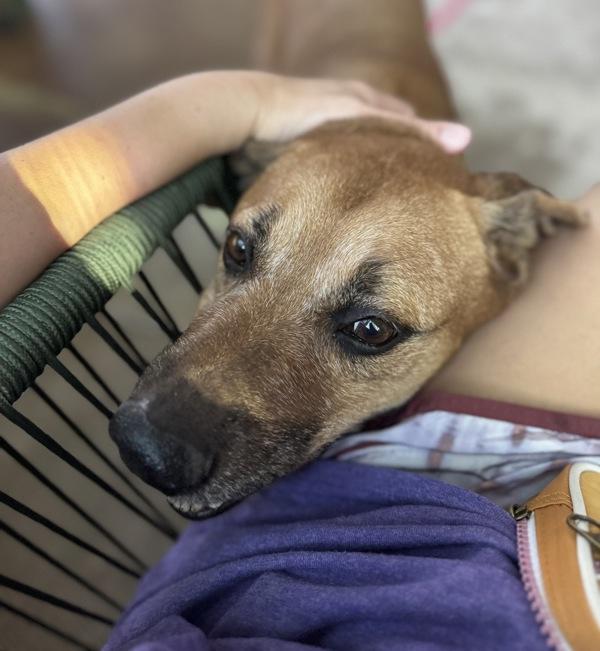 Patty Melt — thumbnail 4