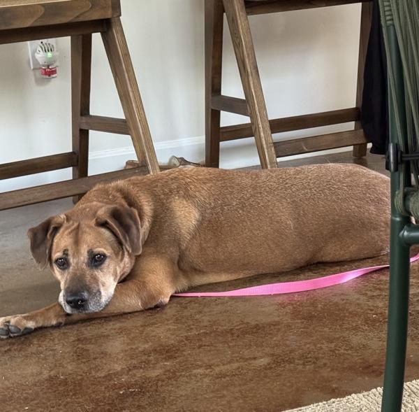 Patty Melt — thumbnail 5