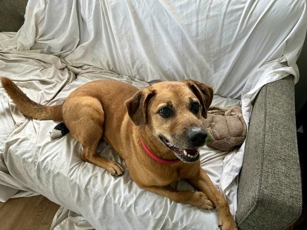 Patty Melt — thumbnail 6