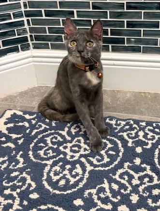 Hayden *forever foster eligible*