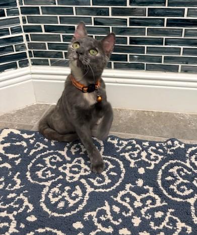 Hayden *forever foster eligible*