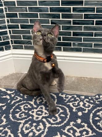 Hayden *forever foster eligible*