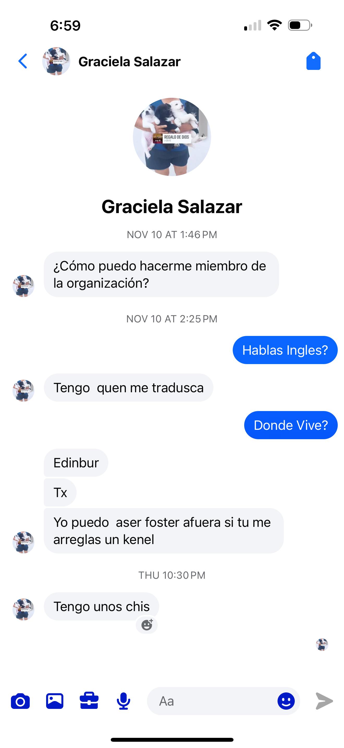 Enlarge Kira, a Adoptable German Shepherd Dog in East Haddam, CT image 4/6