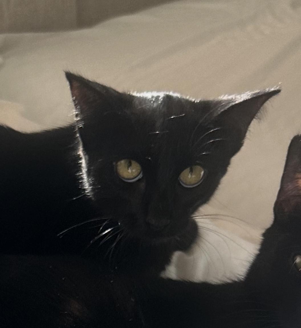 Meep