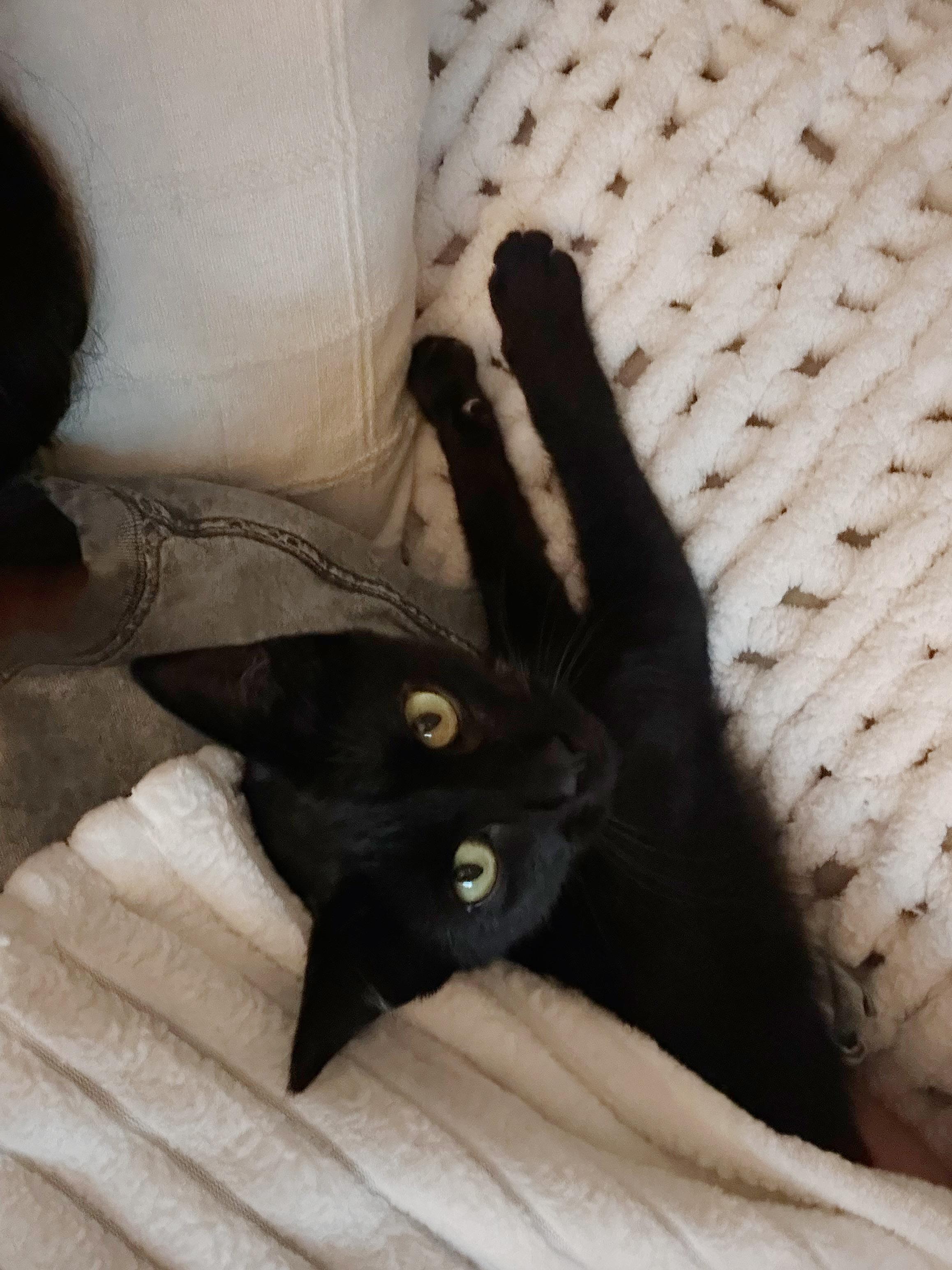 Meep