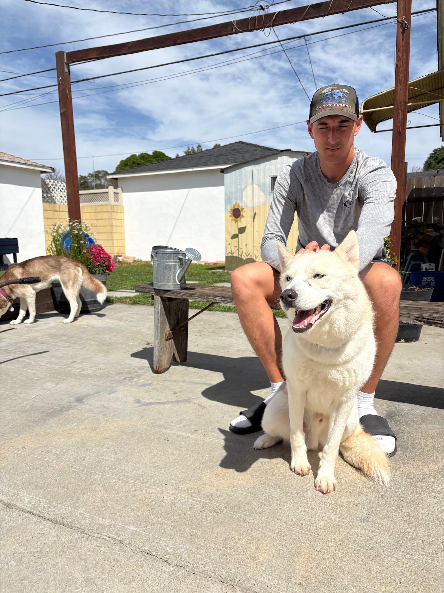 Enlarge Nikolai, a Adoptable mixed breed in Los Angeles , CA image 6/6
