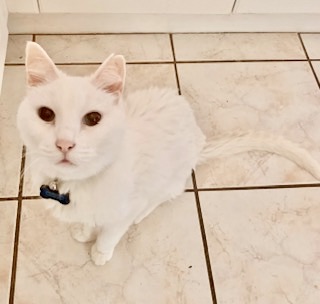 Poor 15 years old, Last Call