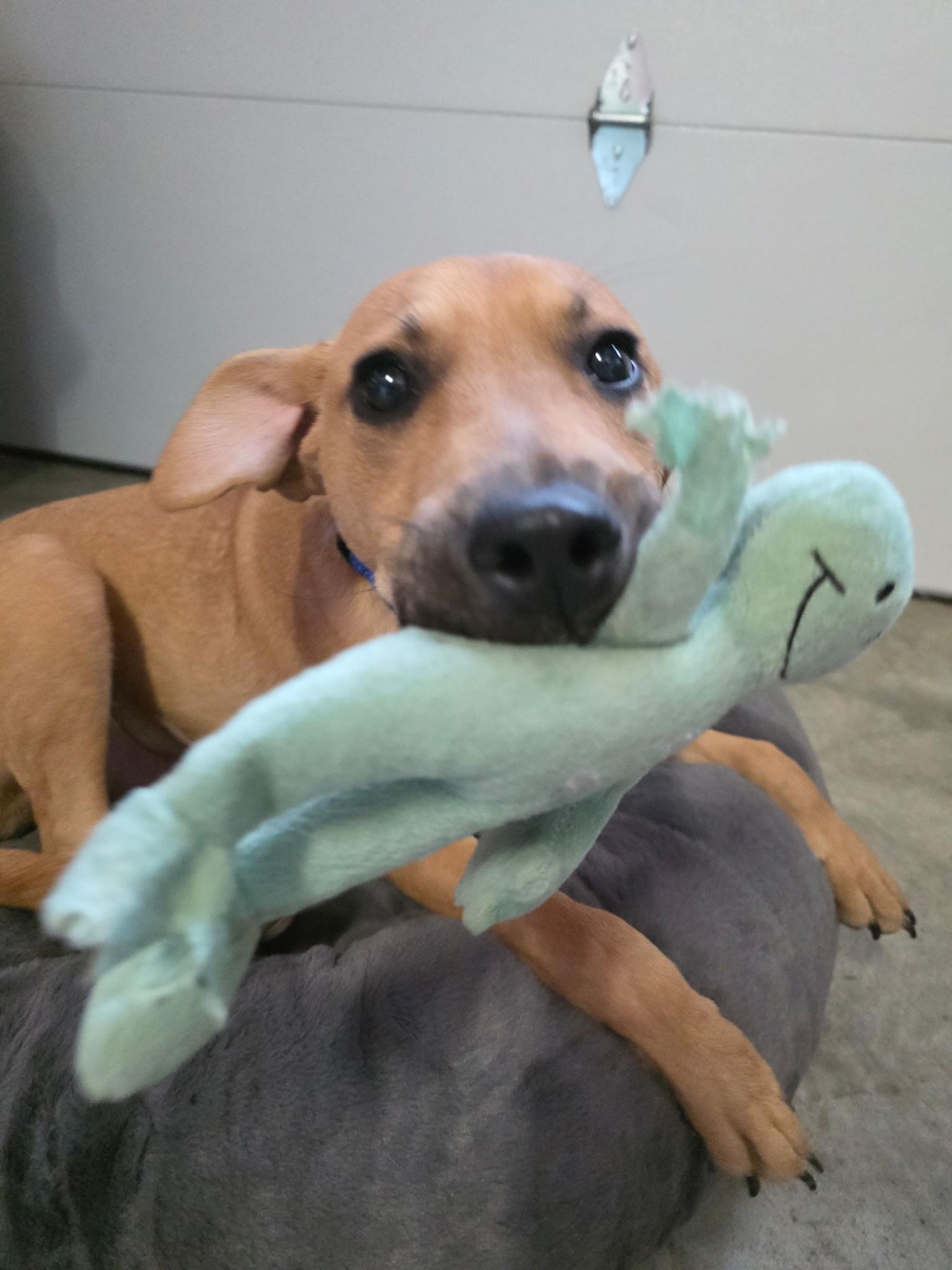 Wilson (bottle baby) — thumbnail 2