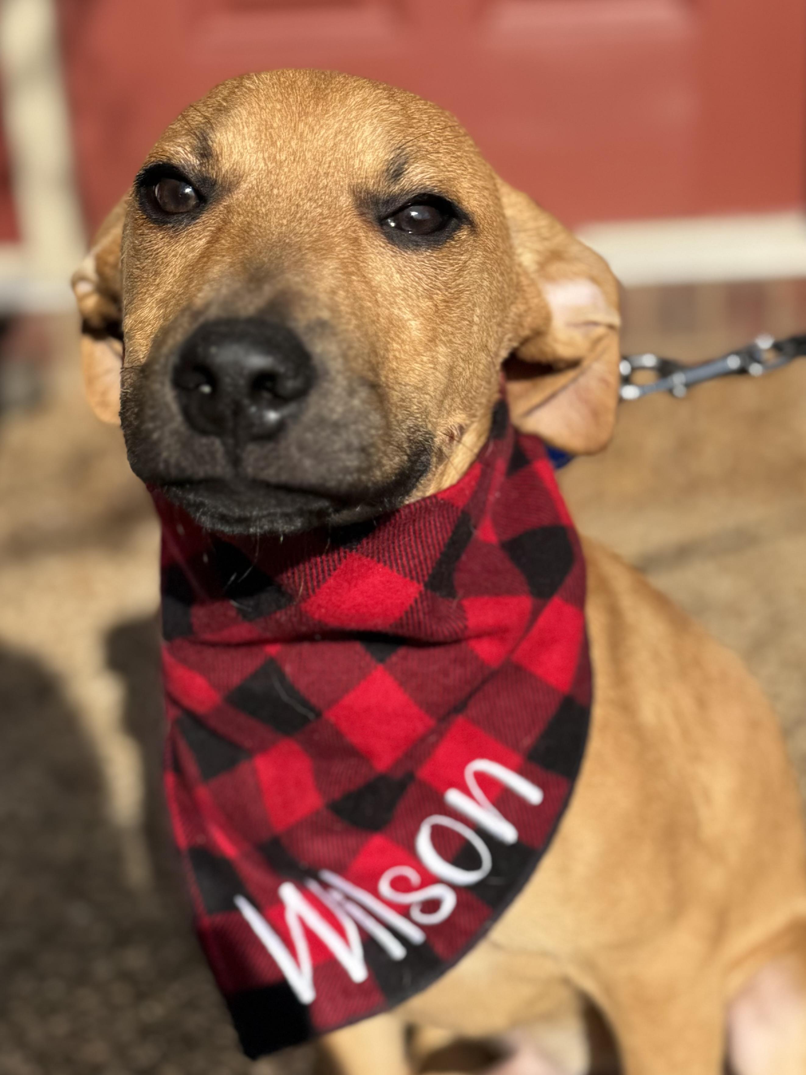 Wilson (bottle baby) — thumbnail 3