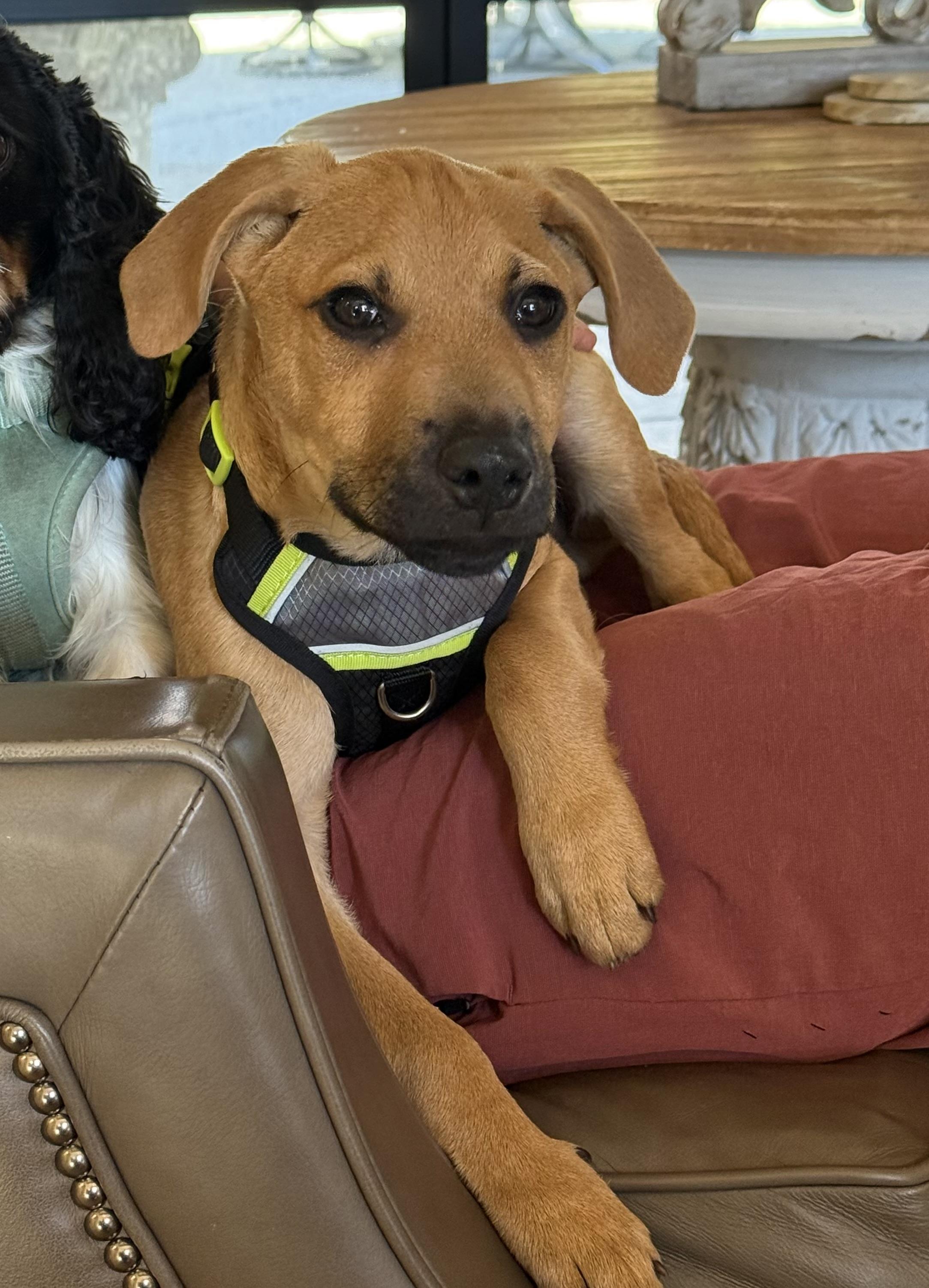 Wilson (bottle baby) — thumbnail 5