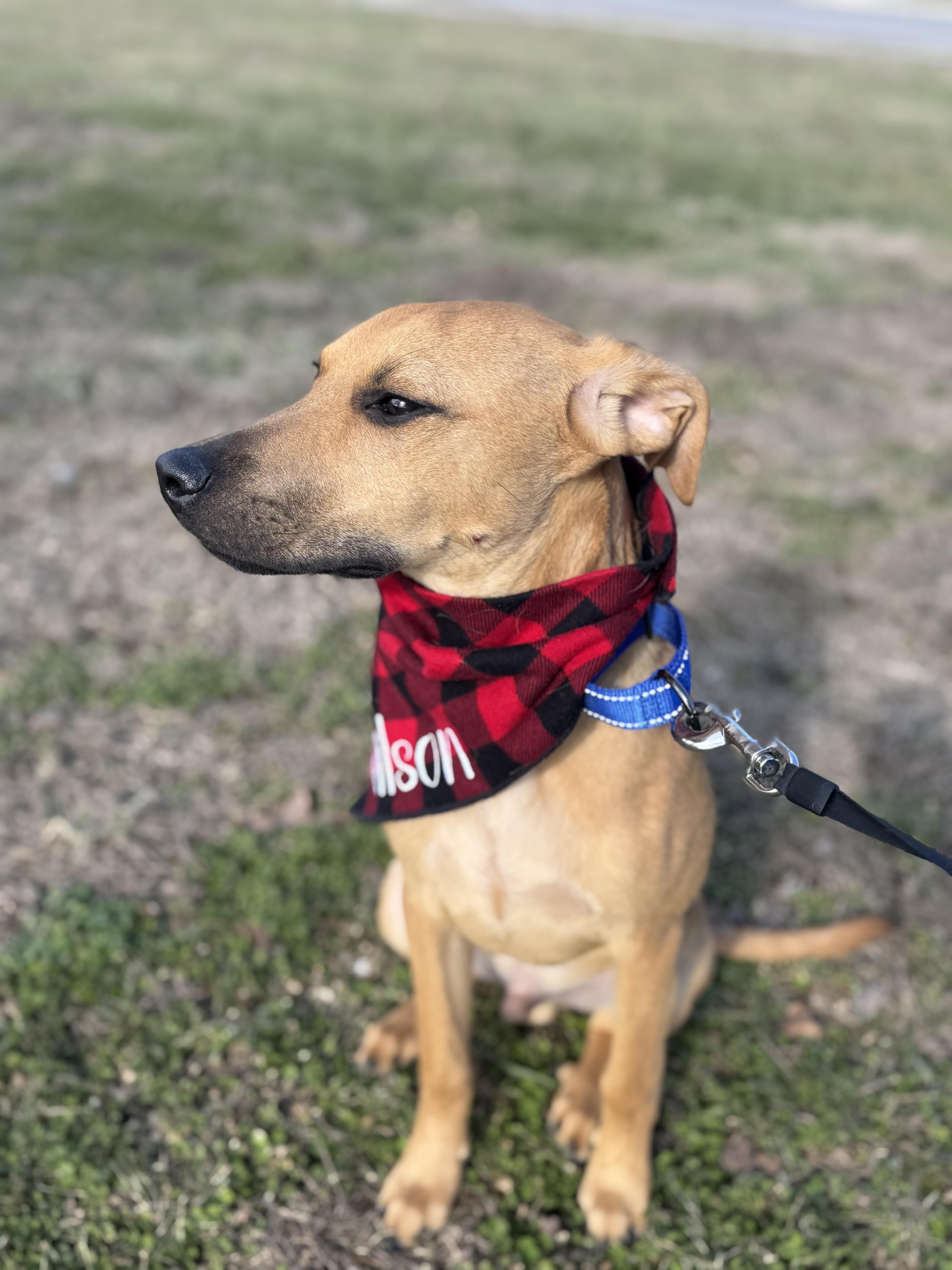 Wilson (bottle baby) — thumbnail 6