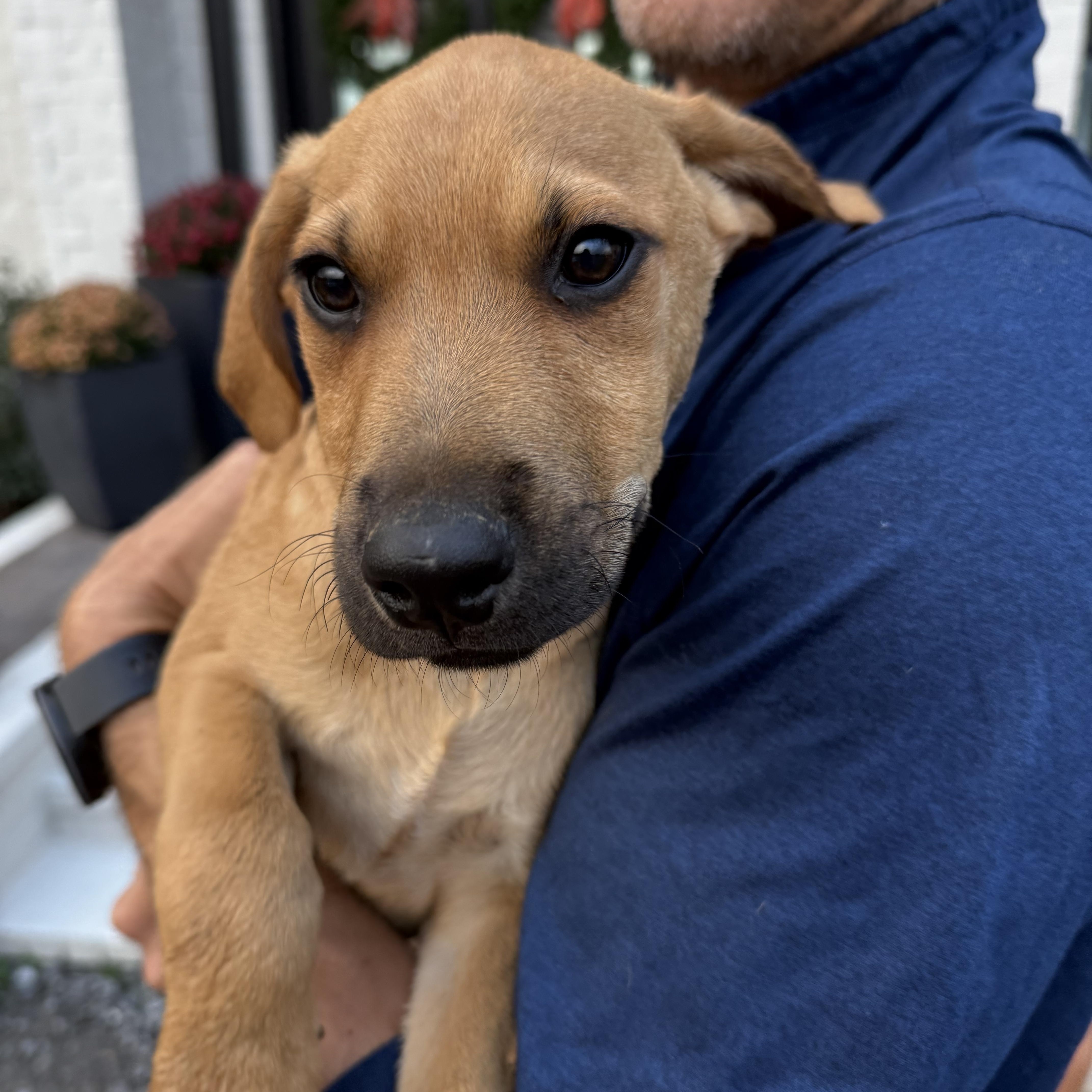 Wilson (bottle baby)