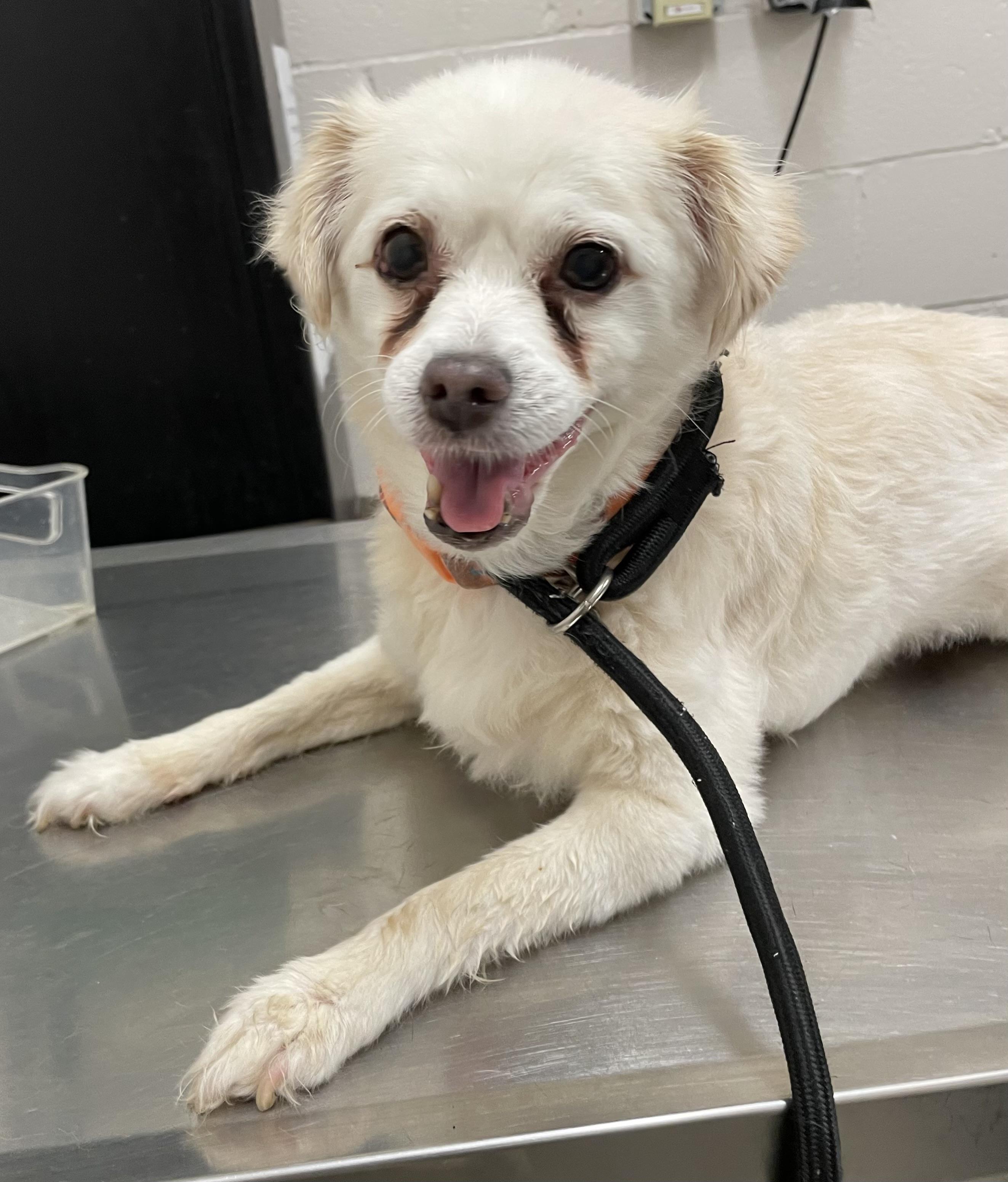 Dorothy PULLED BY RESCUE