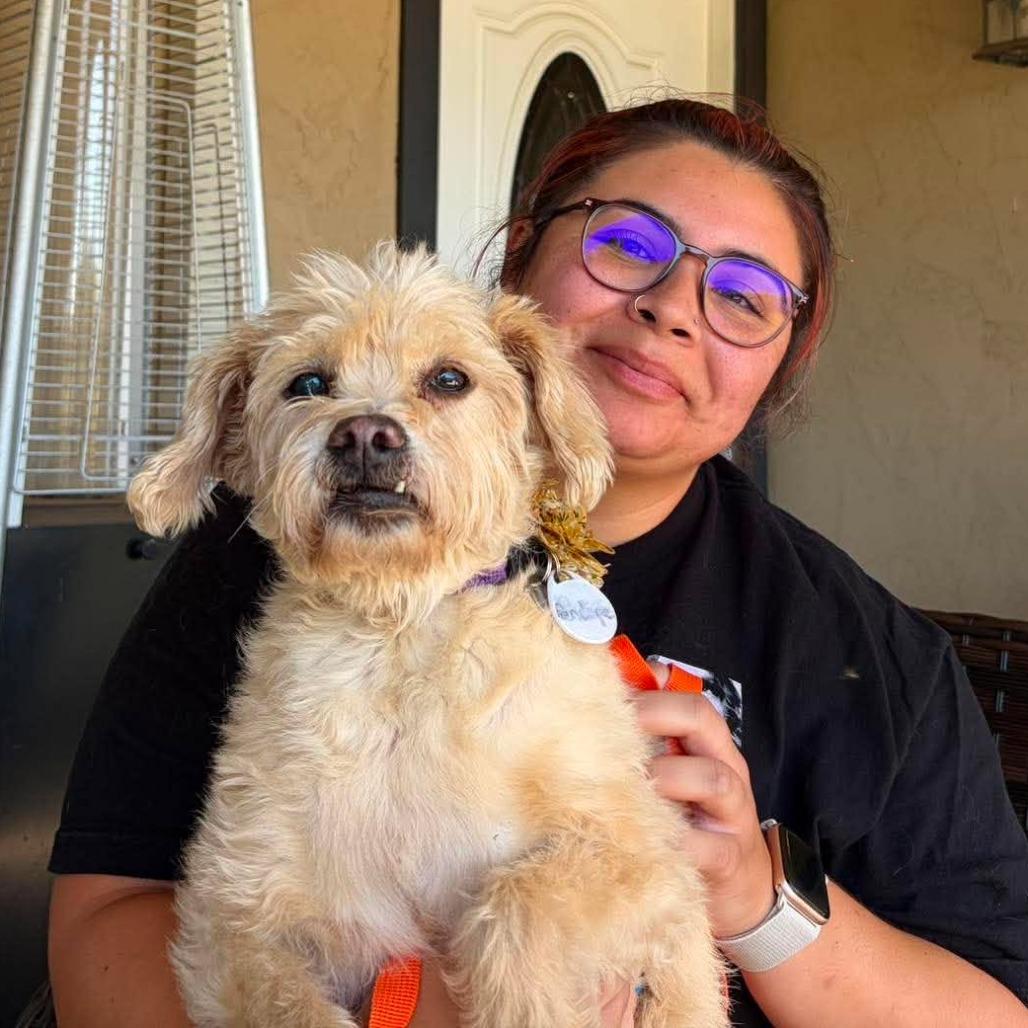 Enlarge Penelope, a Adoptable Terrier in Ramona, CA image 6/6