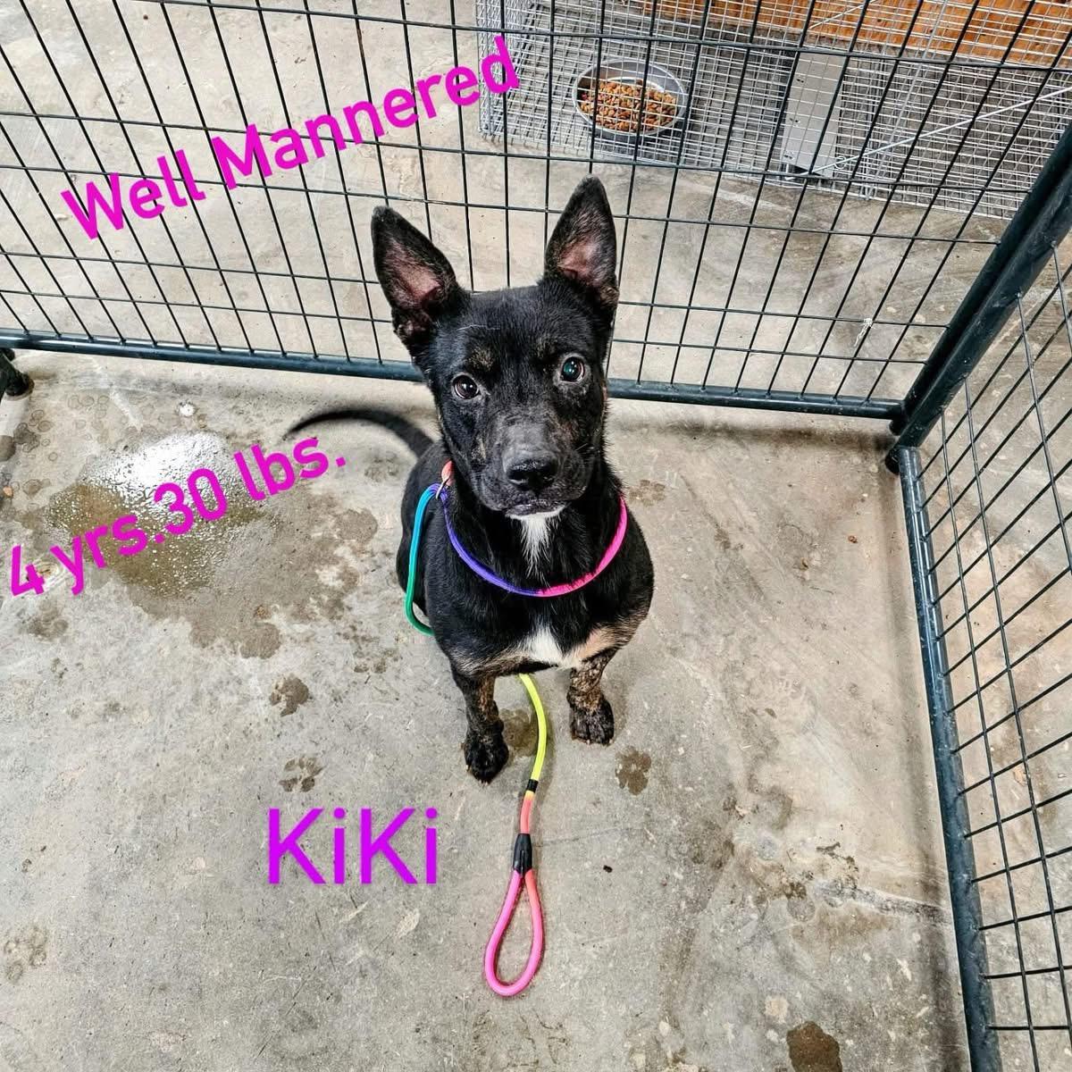 Kiki