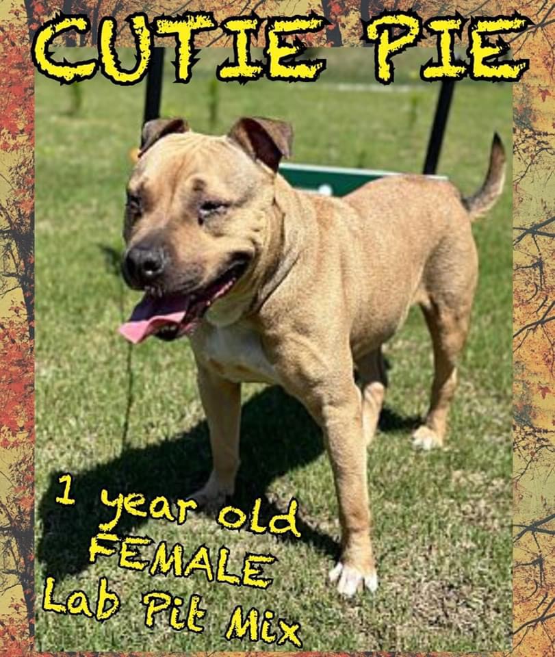 Cutie Pie, Young Female unknown