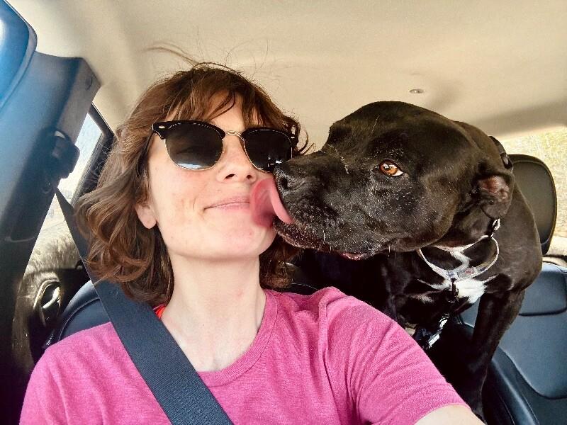 Polly Anna the Princess of lap snuggles and giggles — thumbnail 4