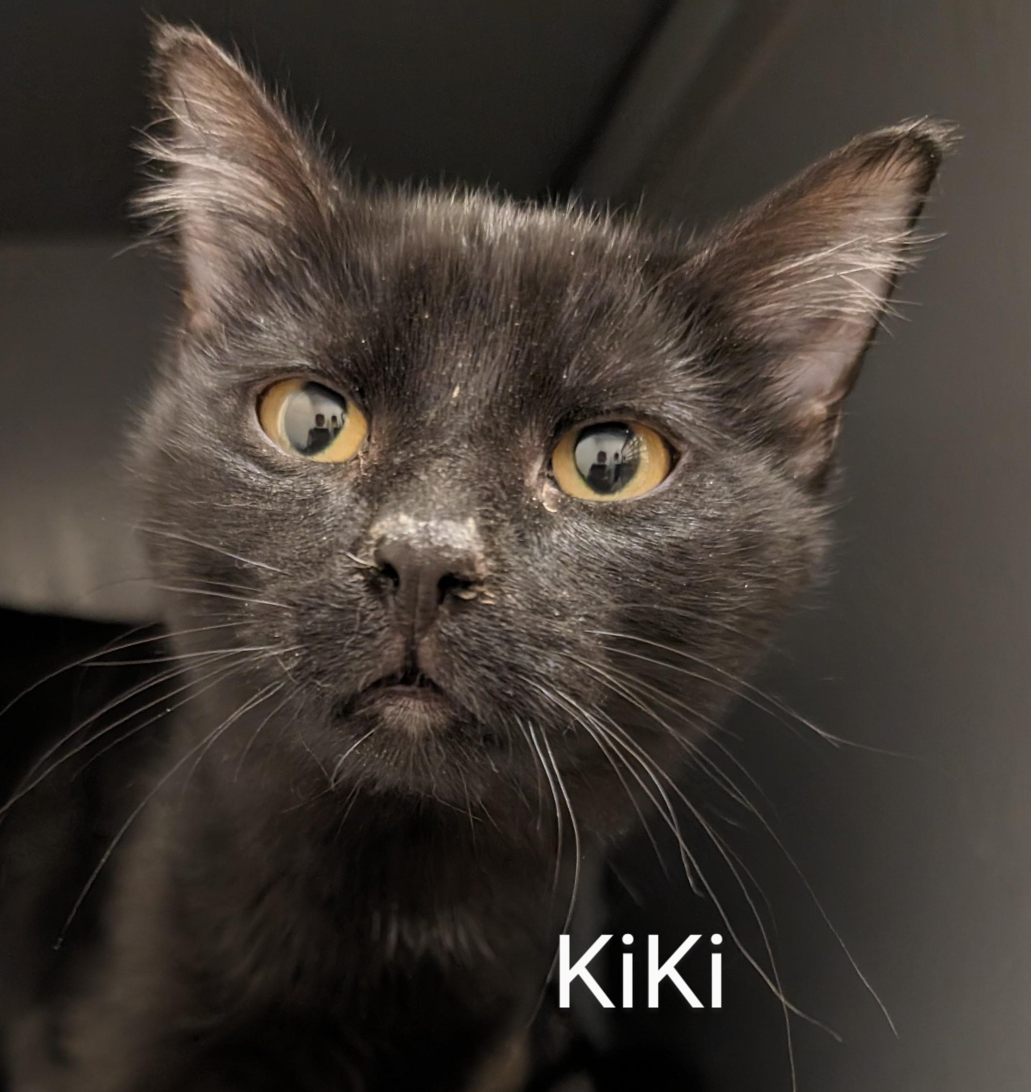 KiKi