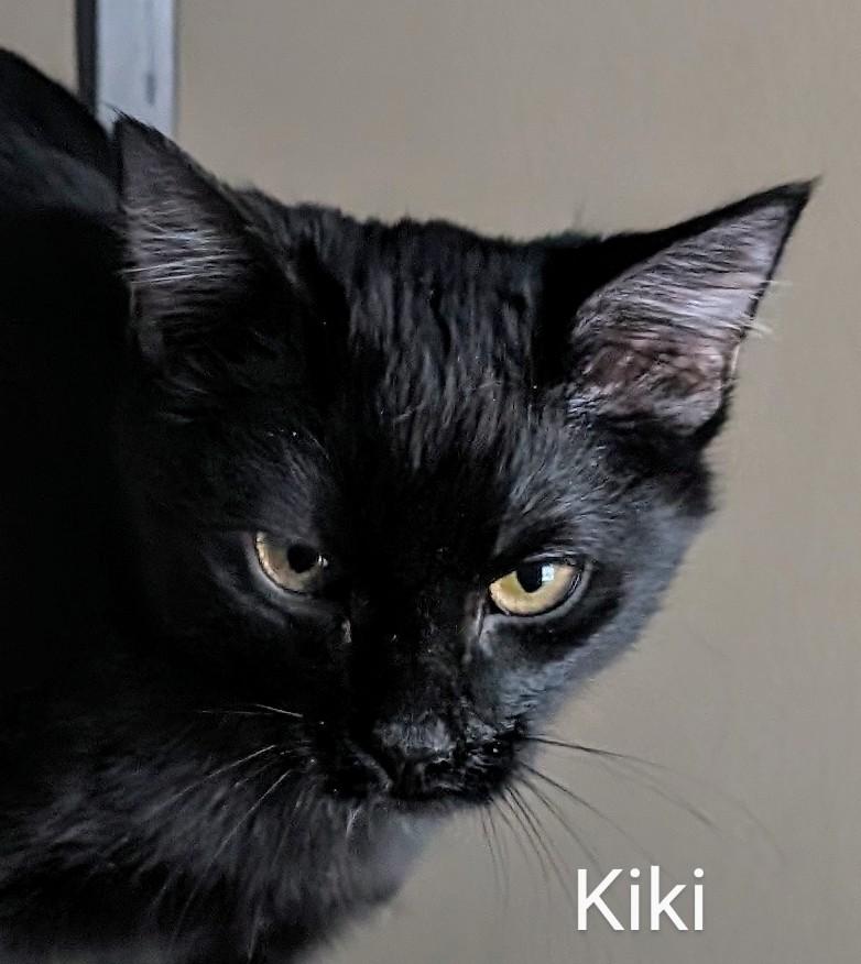KiKi