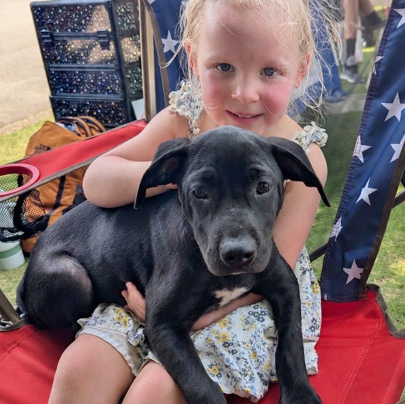 Enlarge Jubilee, a Adoptable mixed breed in Helena, AL image 4/5