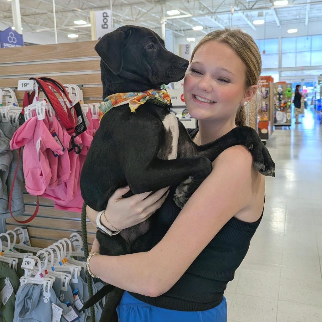 Enlarge Jubilee, a Adoptable mixed breed in Helena, AL image 2/6