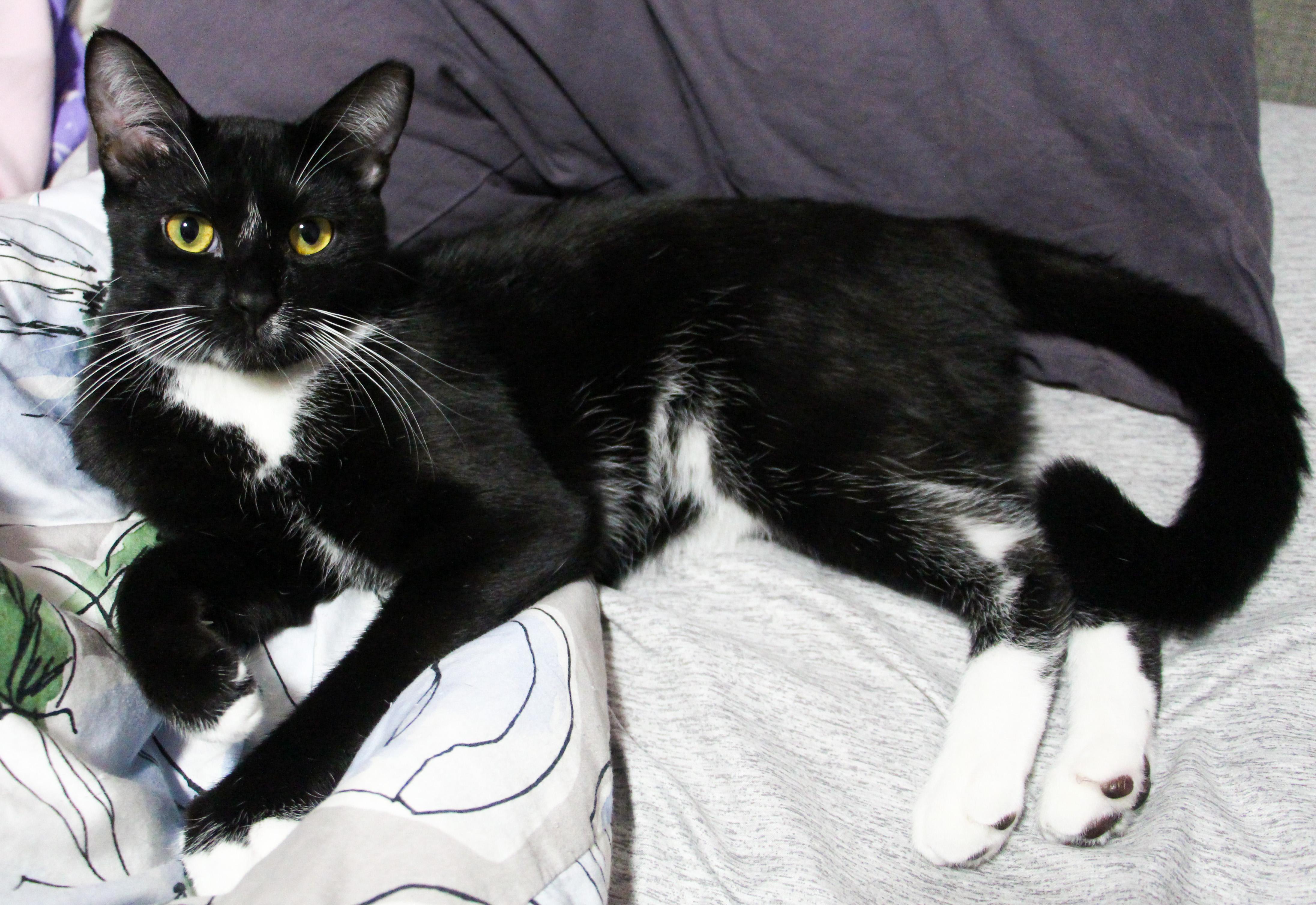 Cedar & Cypress N. thumbnail 4