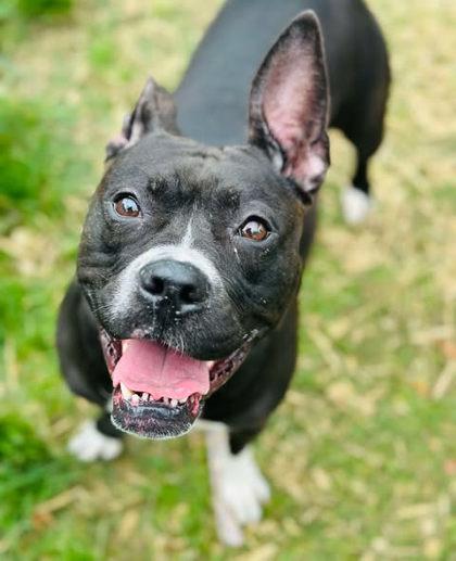 Anastasia — thumbnail 2