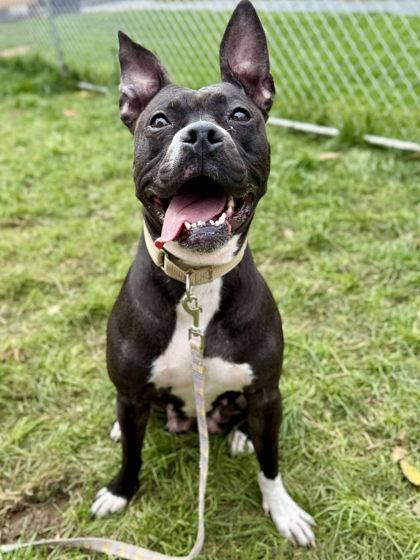 Anastasia — thumbnail 3