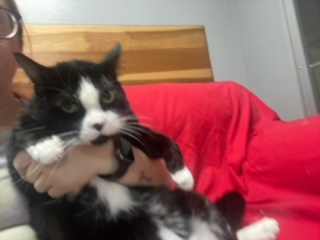 TUX photo 5